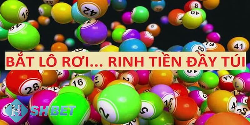 lô rơi là gì lô rơi là gì