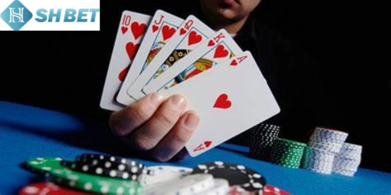 Shbet cung cấp các mẹo chơi Tiến Lên bất bại cho người mới