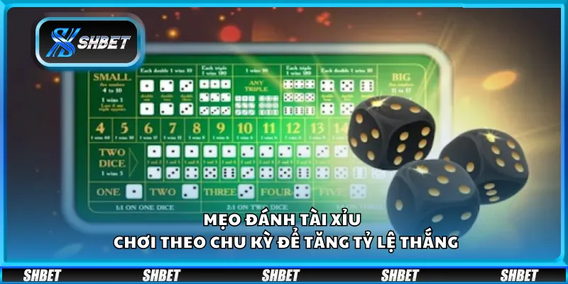 Mẹo đánh tài xỉu – Chơi theo chu kỳ để tăng tỷ lệ thắng