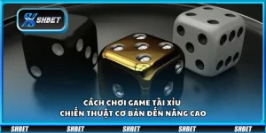Cách chơi game Tài Xỉu – Chiến thuật cơ bản đến nâng cao